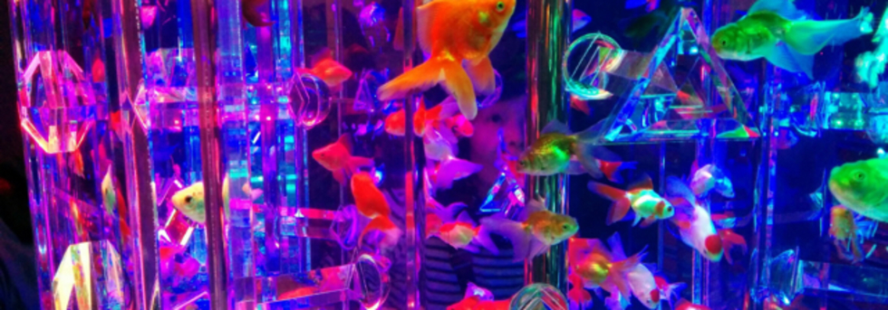 レビュアーのカバー画像