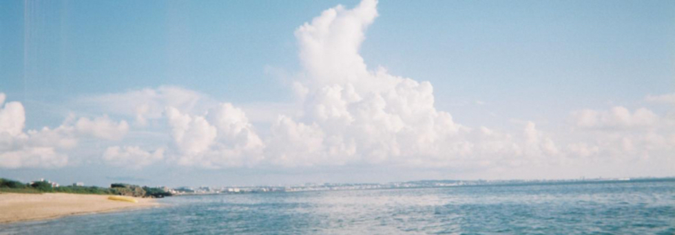 レビュアーのカバー画像