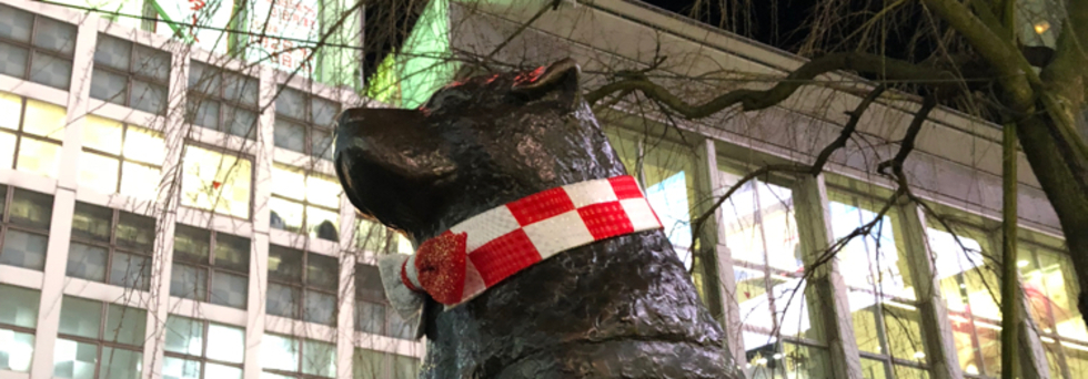 レビュアーのカバー画像