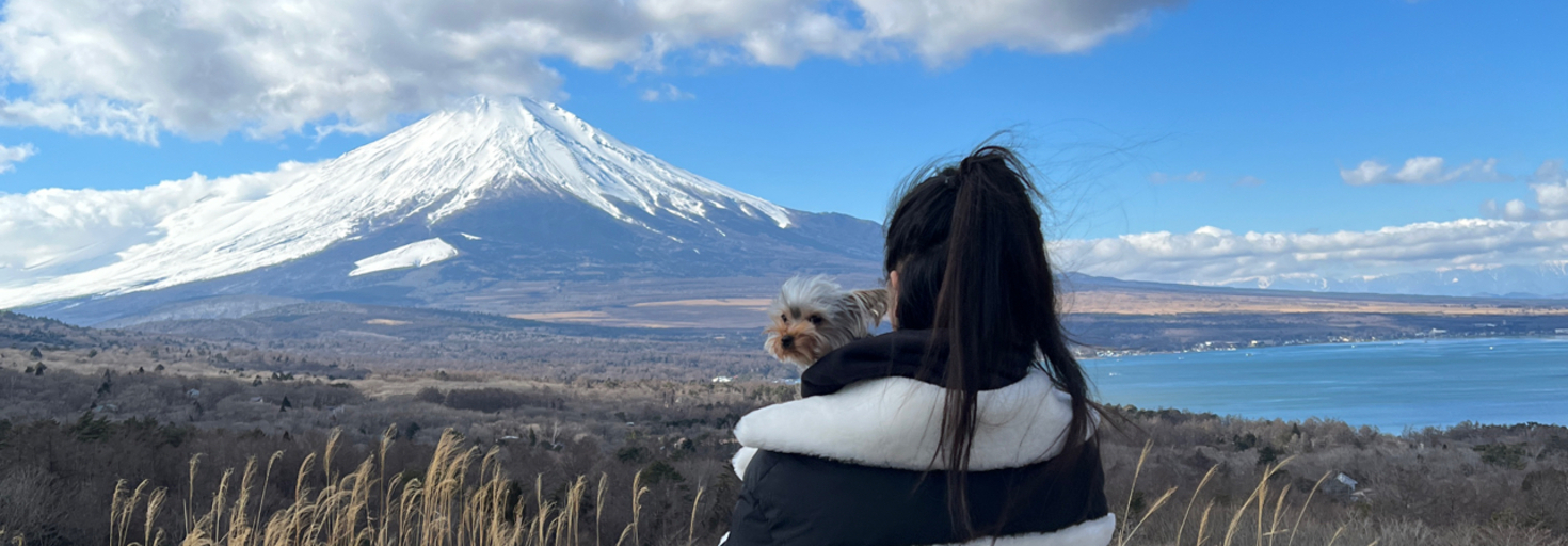 レビュアーのカバー画像
