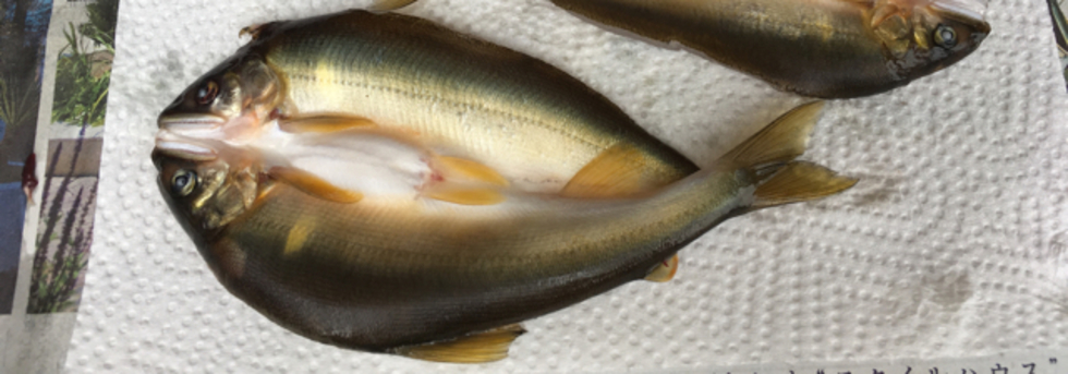 レビュアーのカバー画像