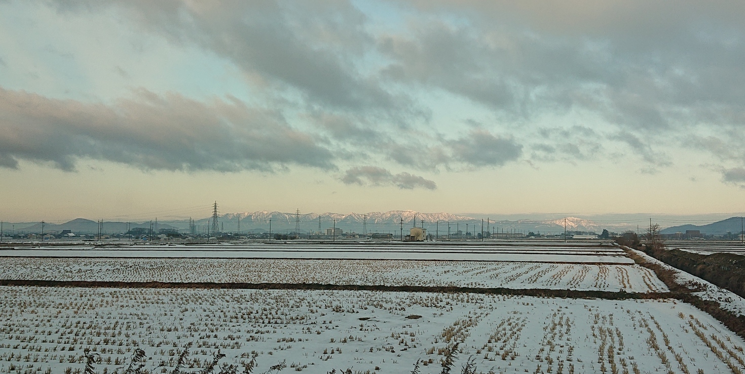 レビュアーのカバー画像