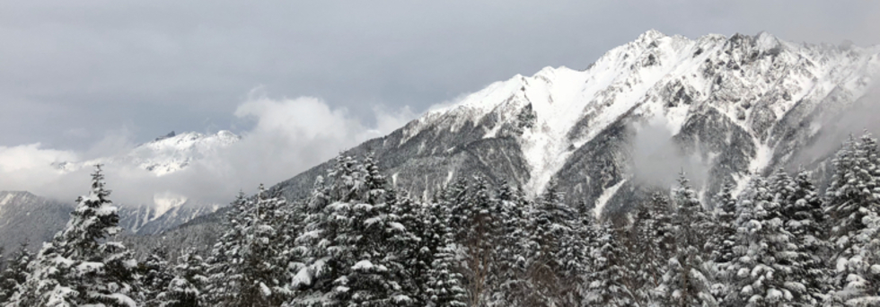 レビュアーのカバー画像