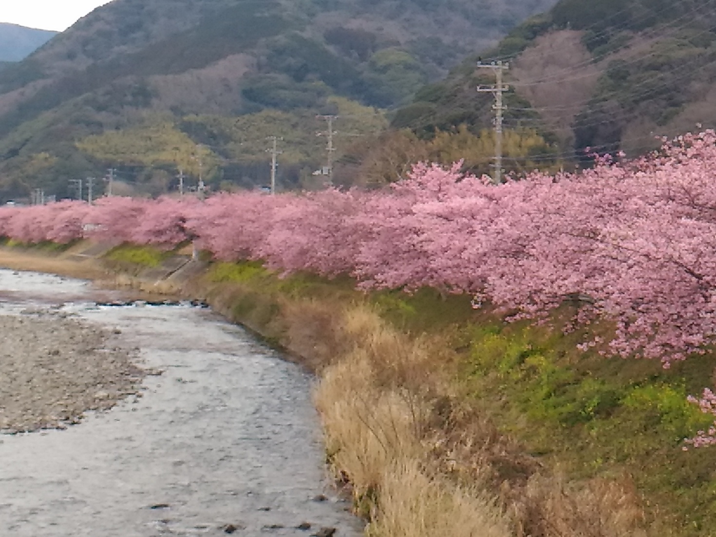 レビュアーのカバー画像