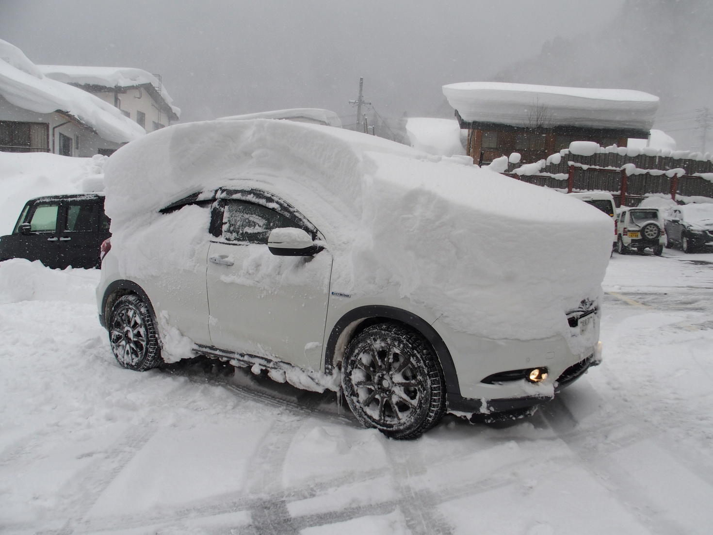 レビュアーのカバー画像