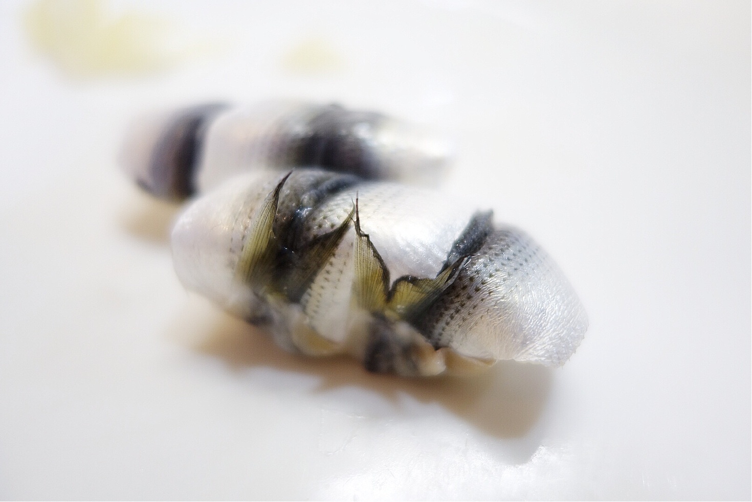 レビュアーのカバー画像