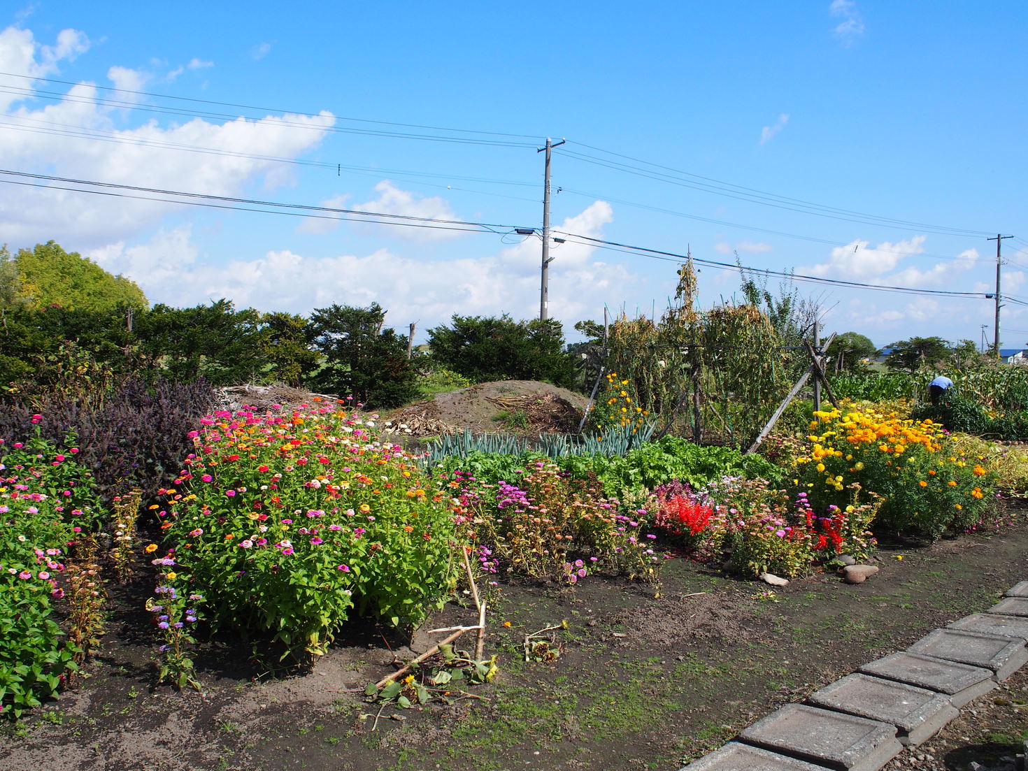 レビュアーのカバー画像