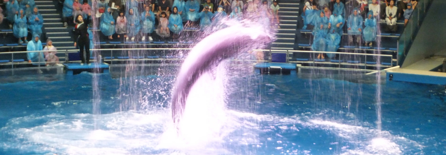 レビュアーのカバー画像