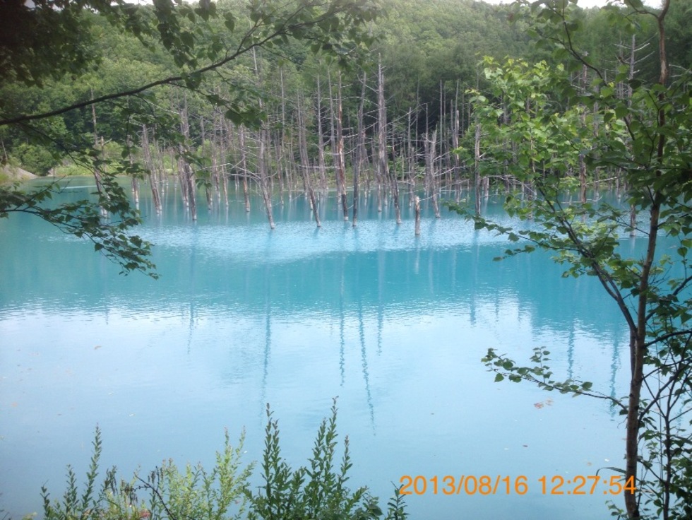 レビュアーのカバー画像