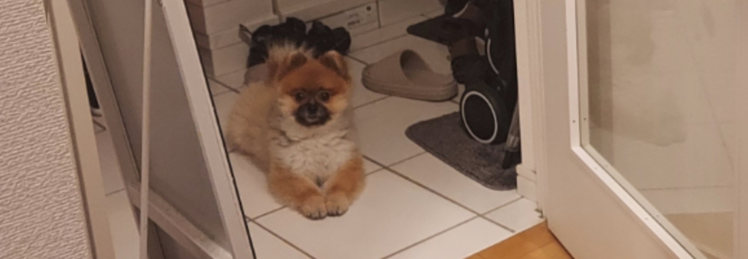 レビュアーのカバー画像