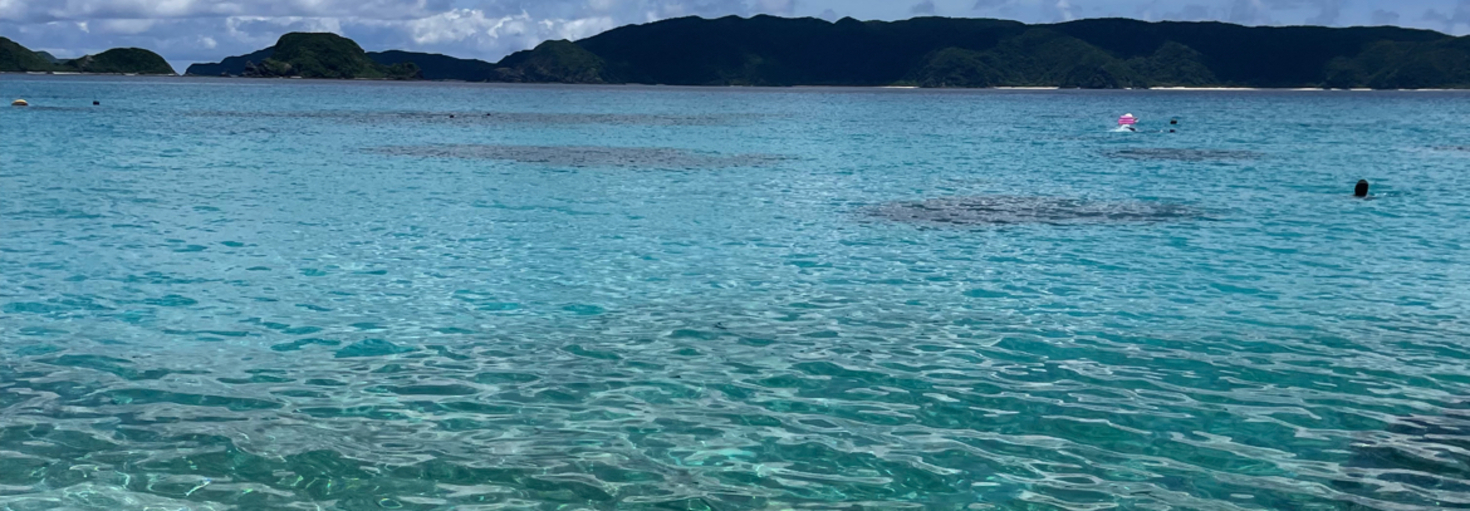 レビュアーのカバー画像