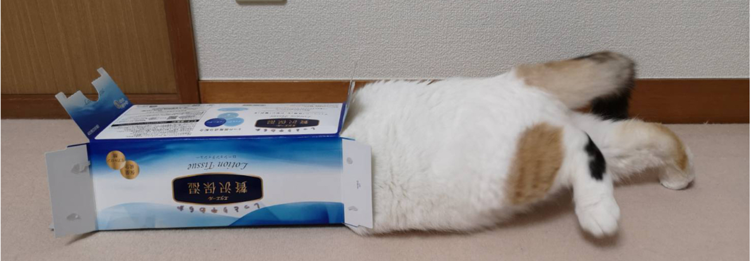 レビュアーのカバー画像