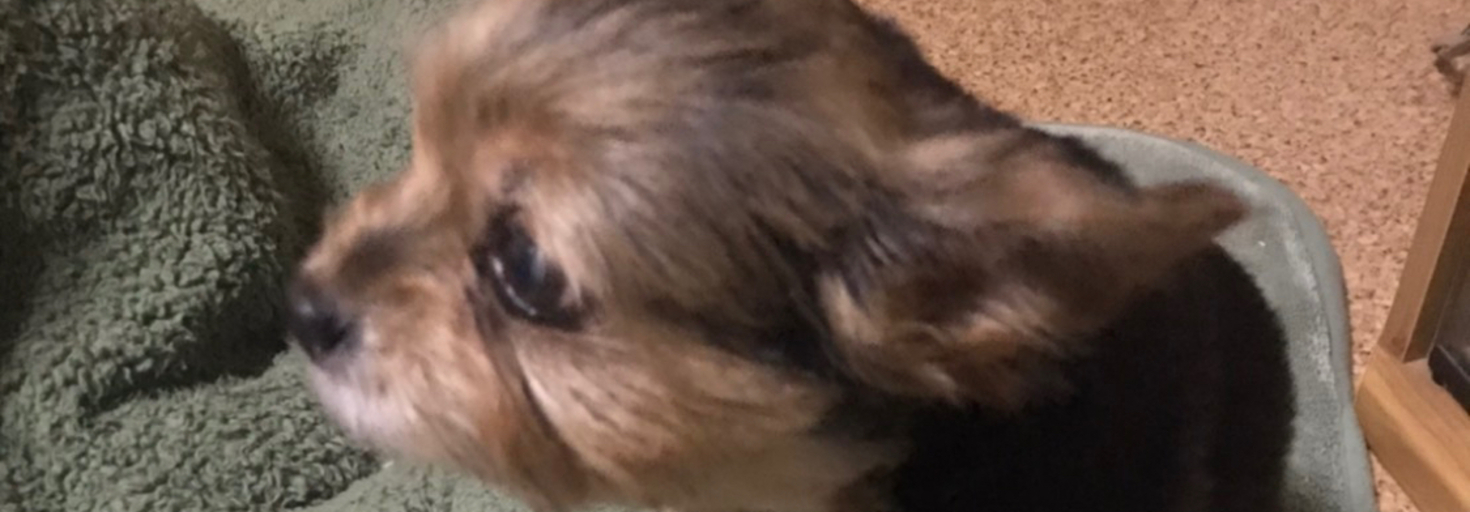 レビュアーのカバー画像