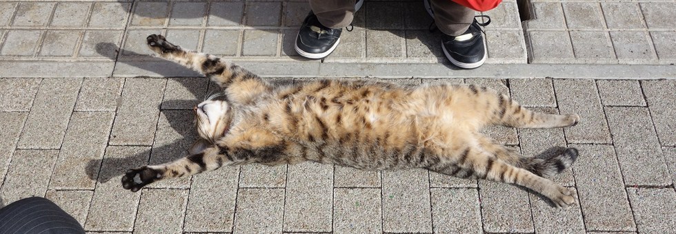 レビュアーのカバー画像