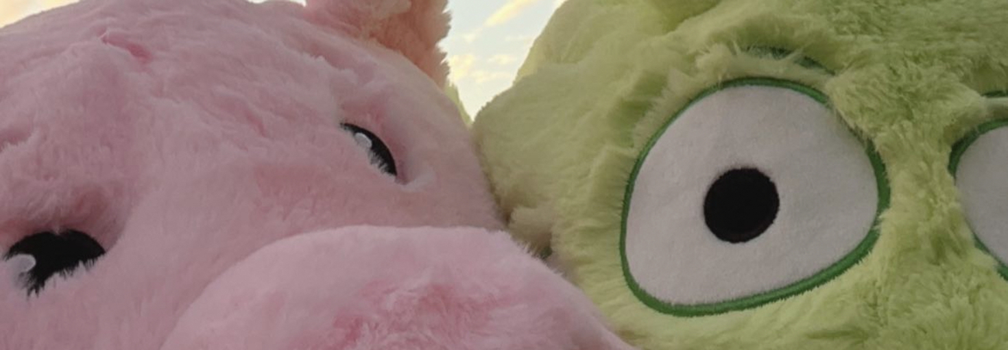 レビュアーのカバー画像