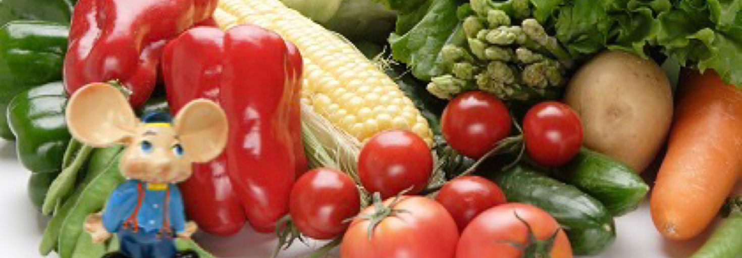 レビュアーのカバー画像