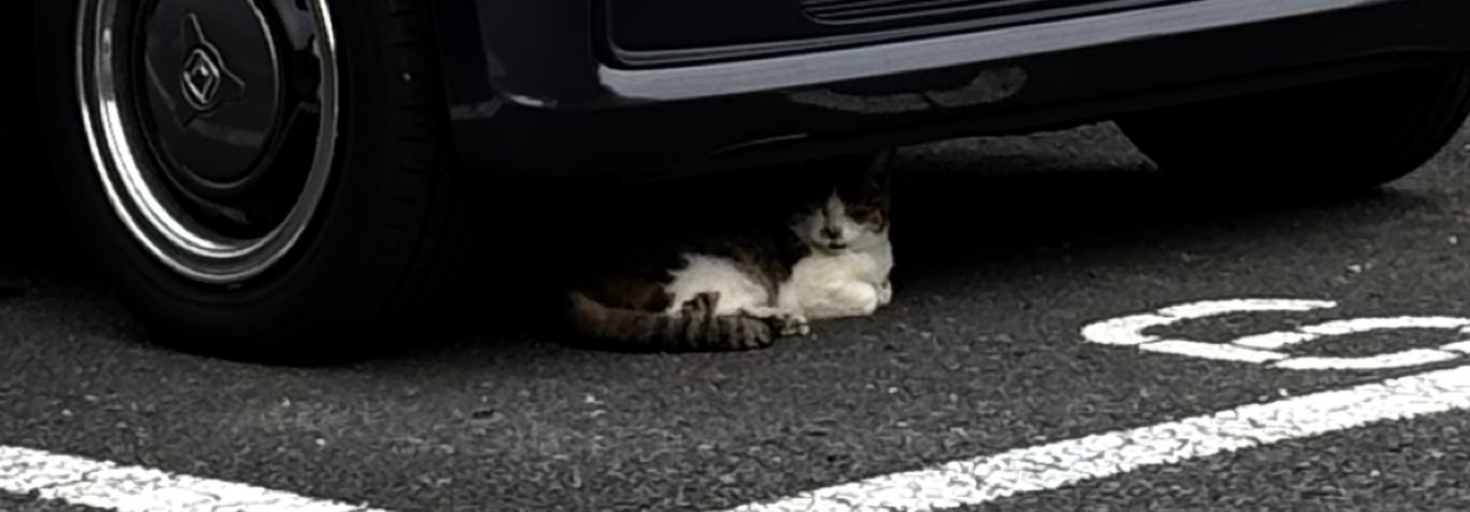 レビュアーのカバー画像