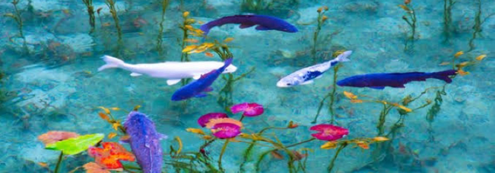 レビュアーのカバー画像