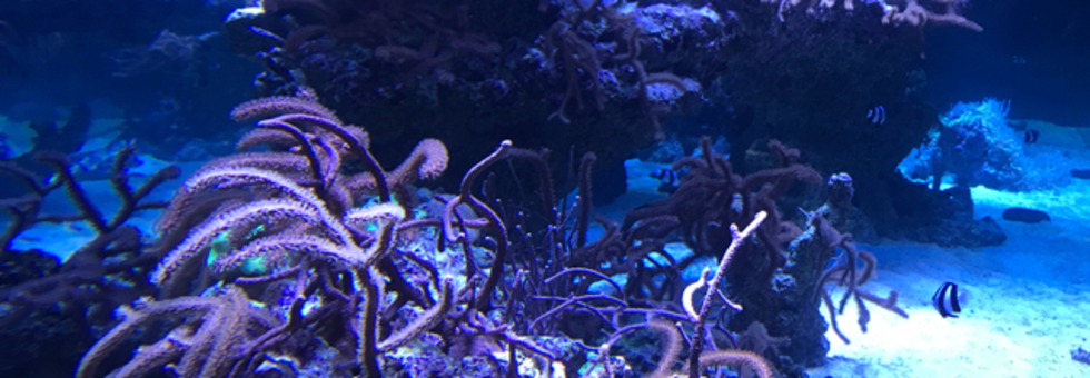 レビュアーのカバー画像