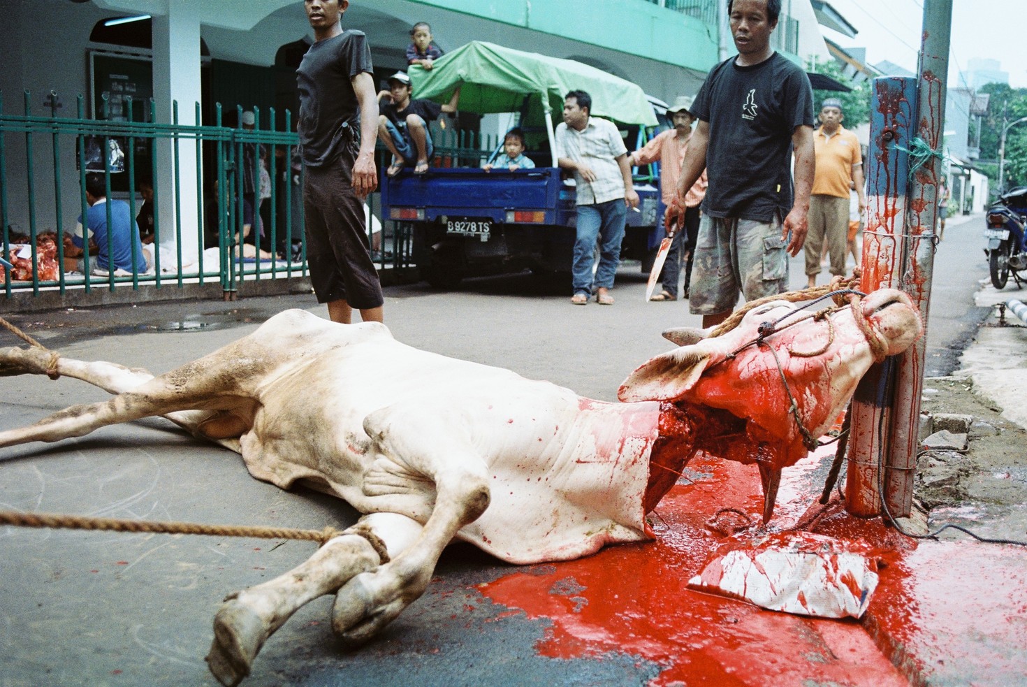 レビュアーのカバー画像