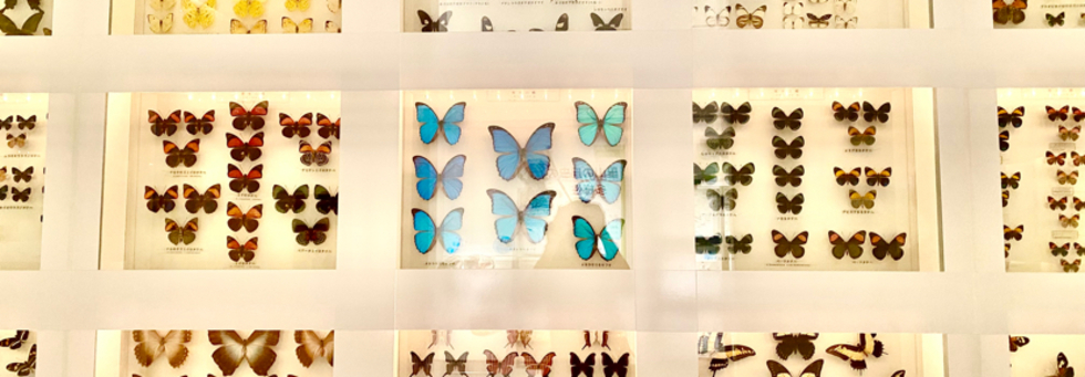 レビュアーのカバー画像