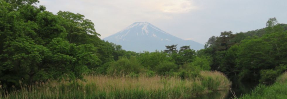 レビュアーのカバー画像