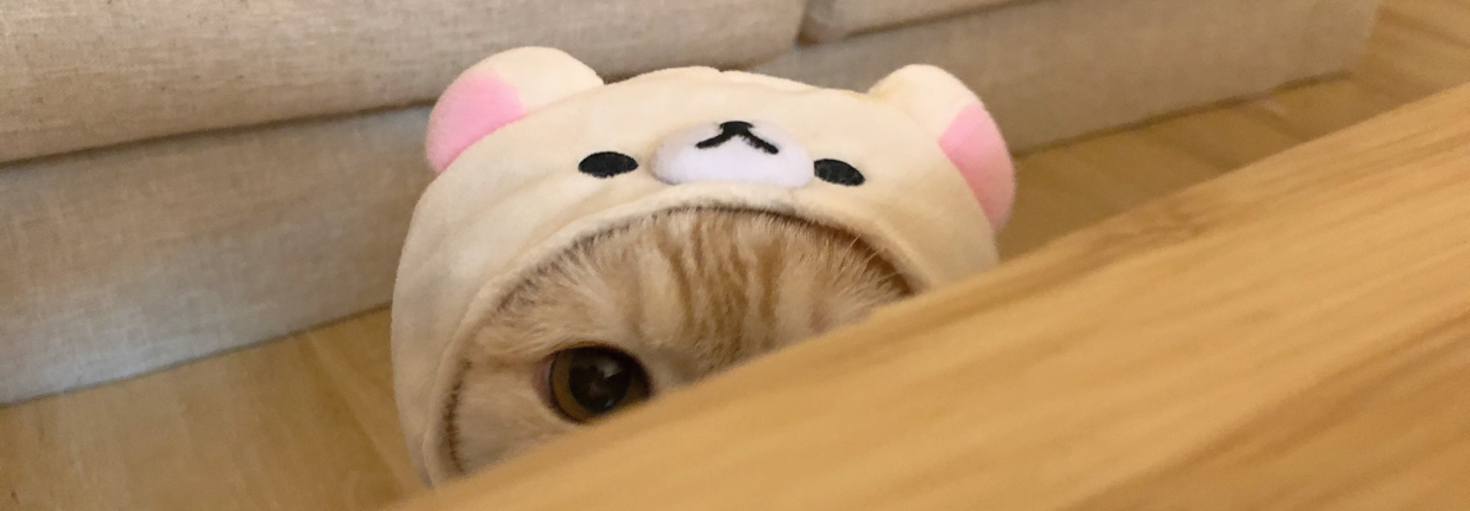 レビュアーのカバー画像