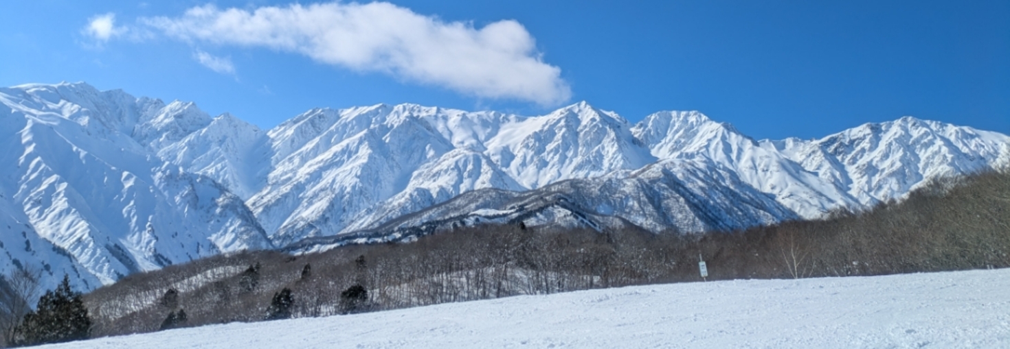 レビュアーのカバー画像