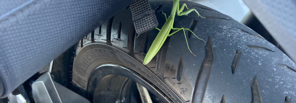 レビュアーのカバー画像