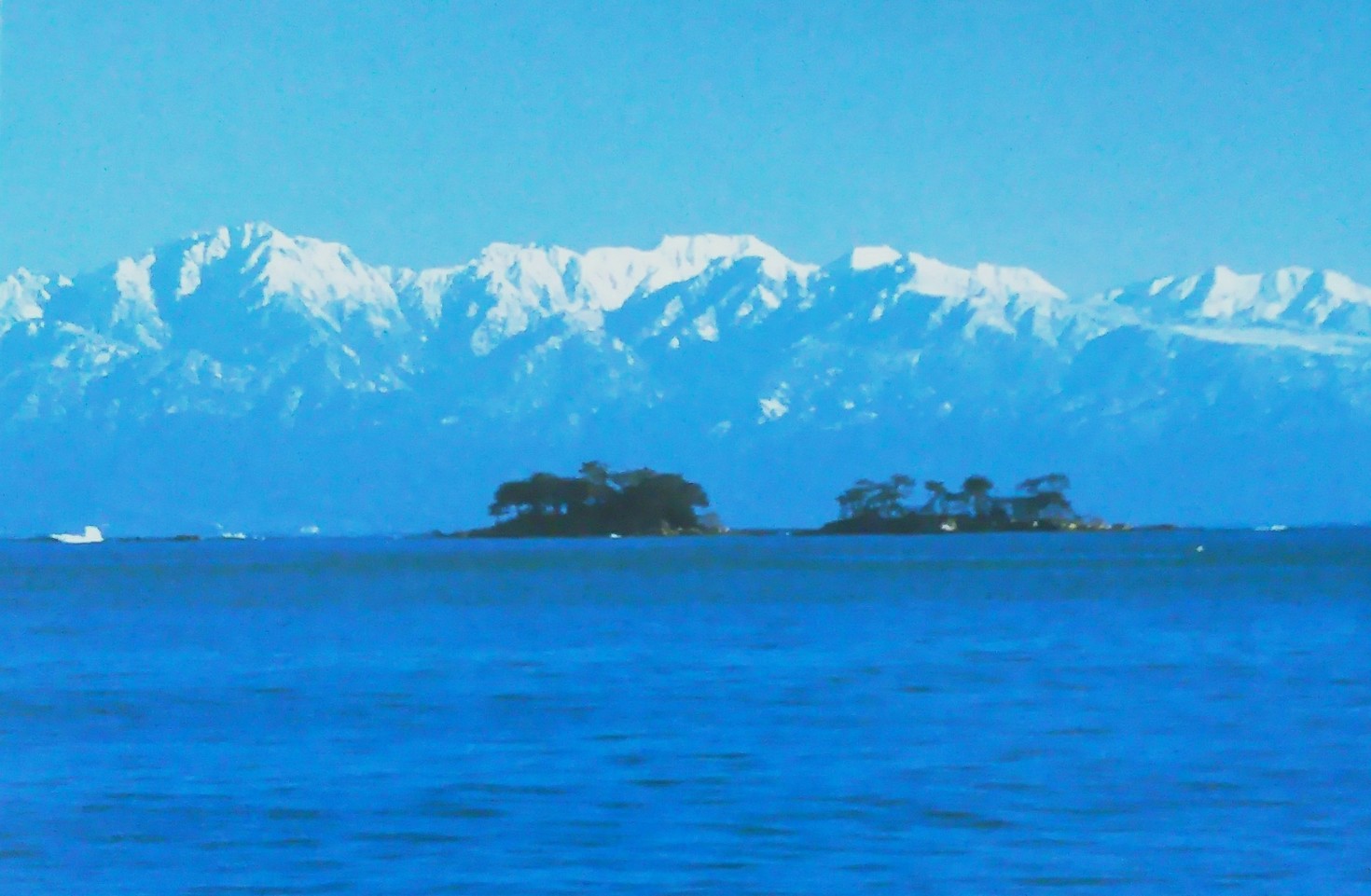 レビュアーのカバー画像