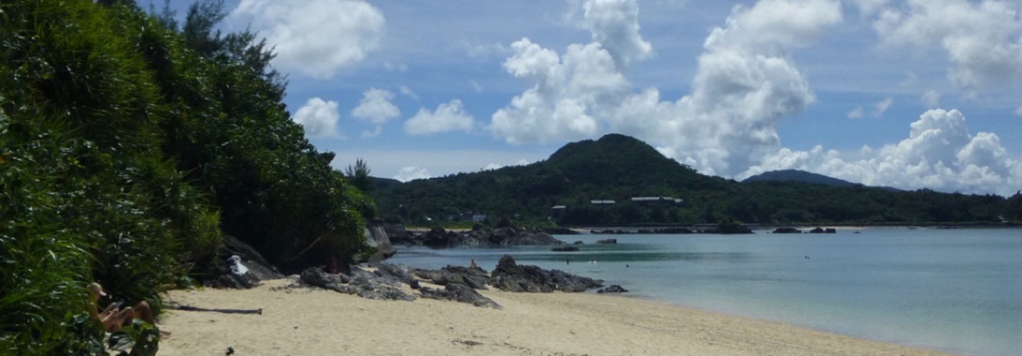 レビュアーのカバー画像