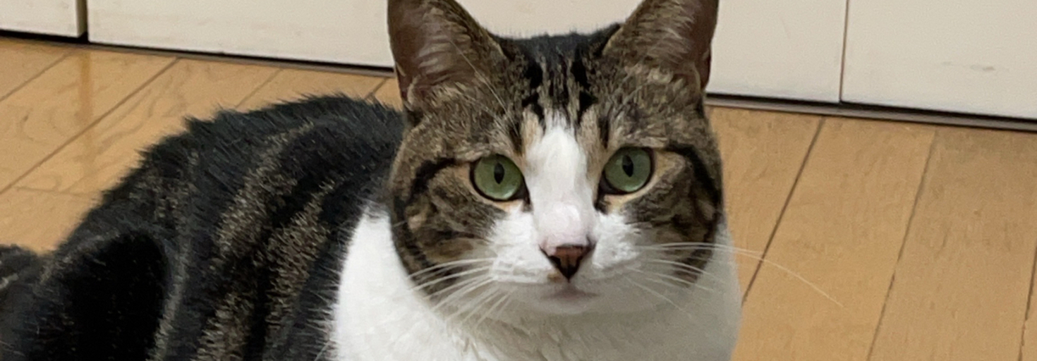 レビュアーのカバー画像