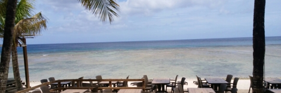 レビュアーのカバー画像