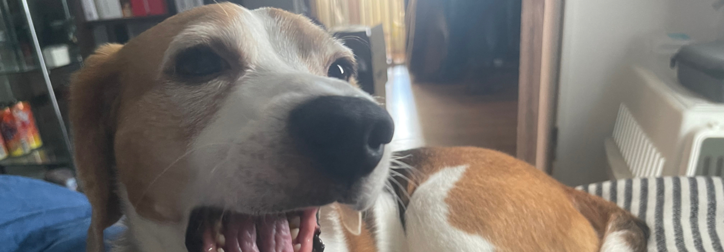 レビュアーのカバー画像