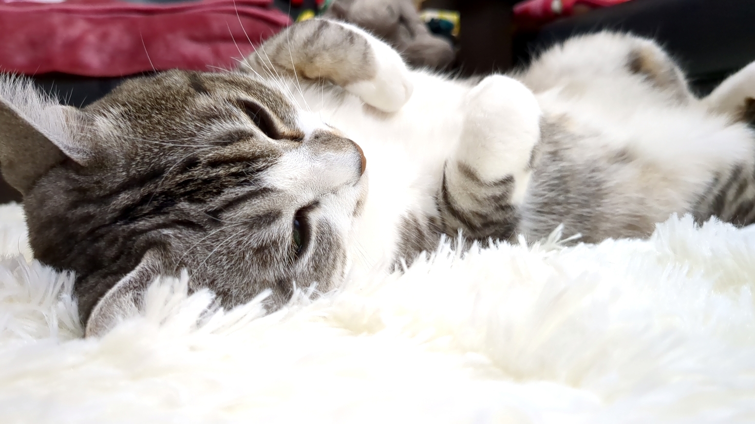 レビュアーのカバー画像