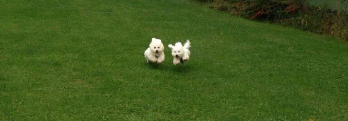 レビュアーのカバー画像