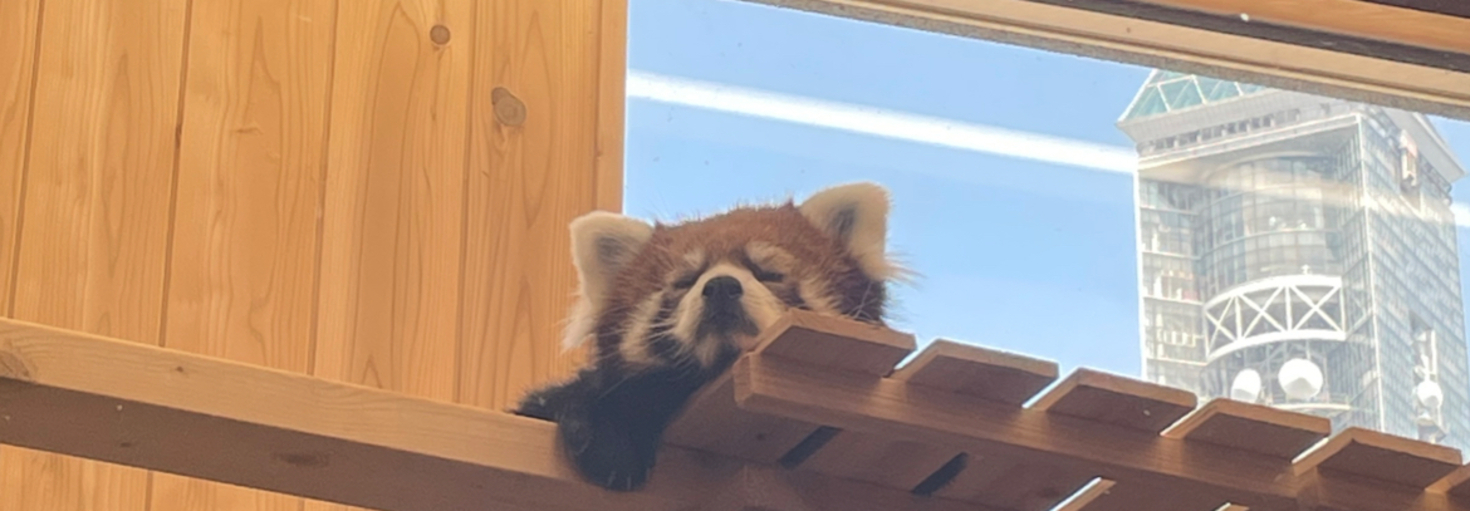 レビュアーのカバー画像