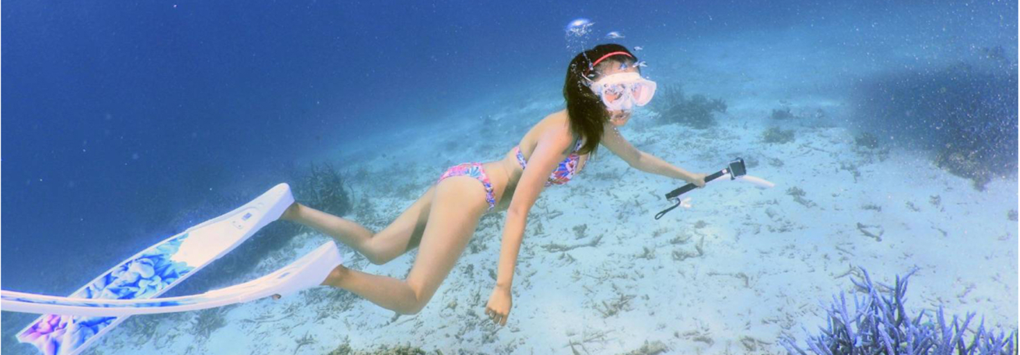 レビュアーのカバー画像