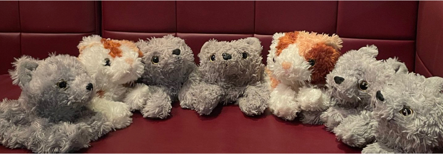 レビュアーのカバー画像