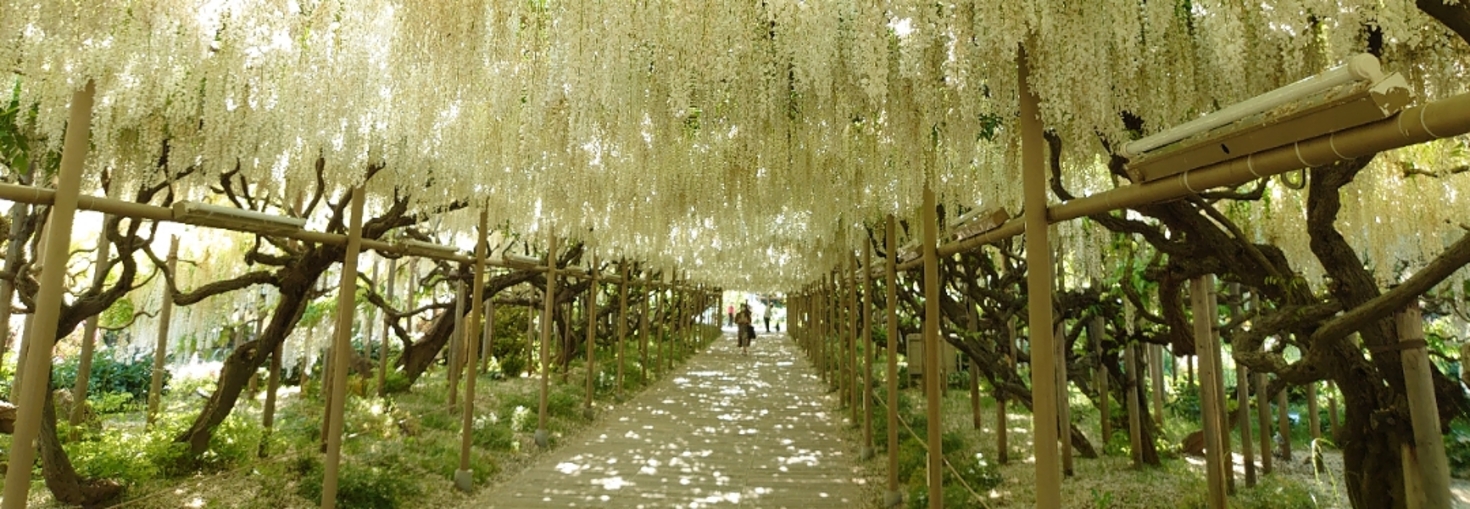 レビュアーのカバー画像