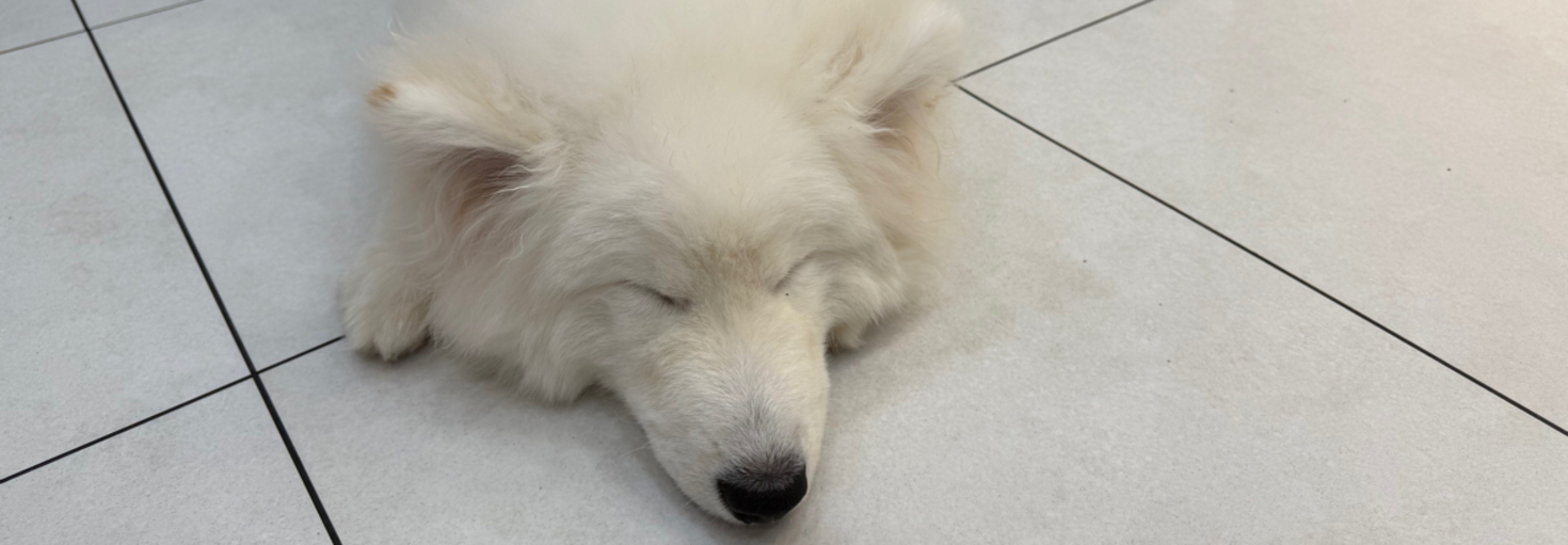 レビュアーのカバー画像