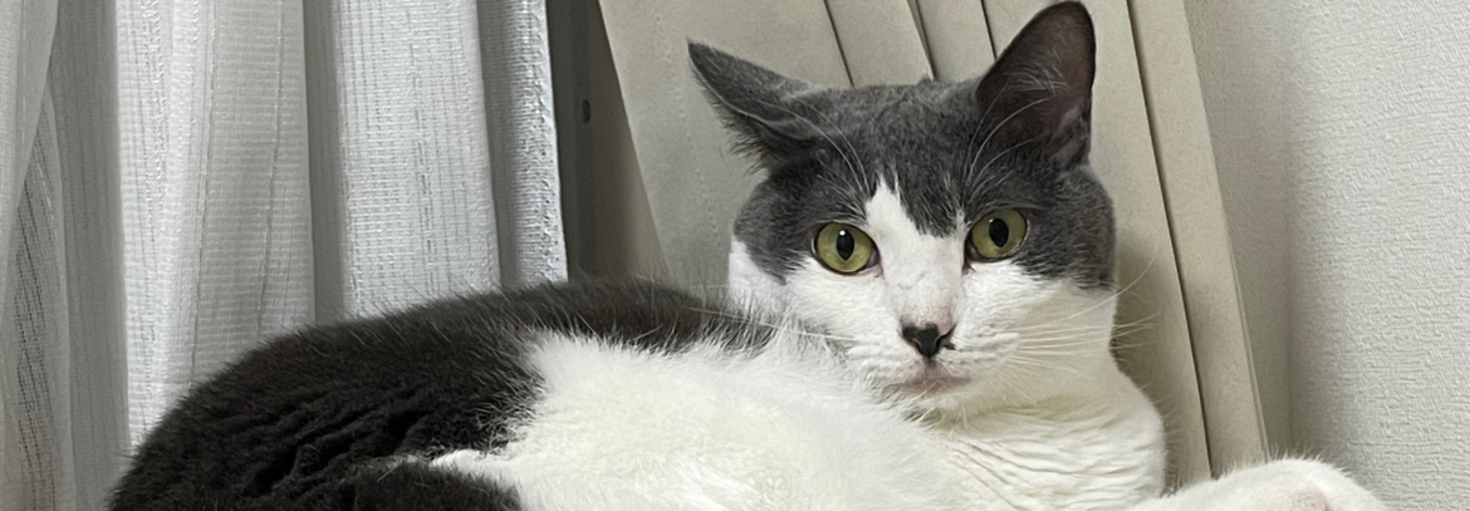 レビュアーのカバー画像