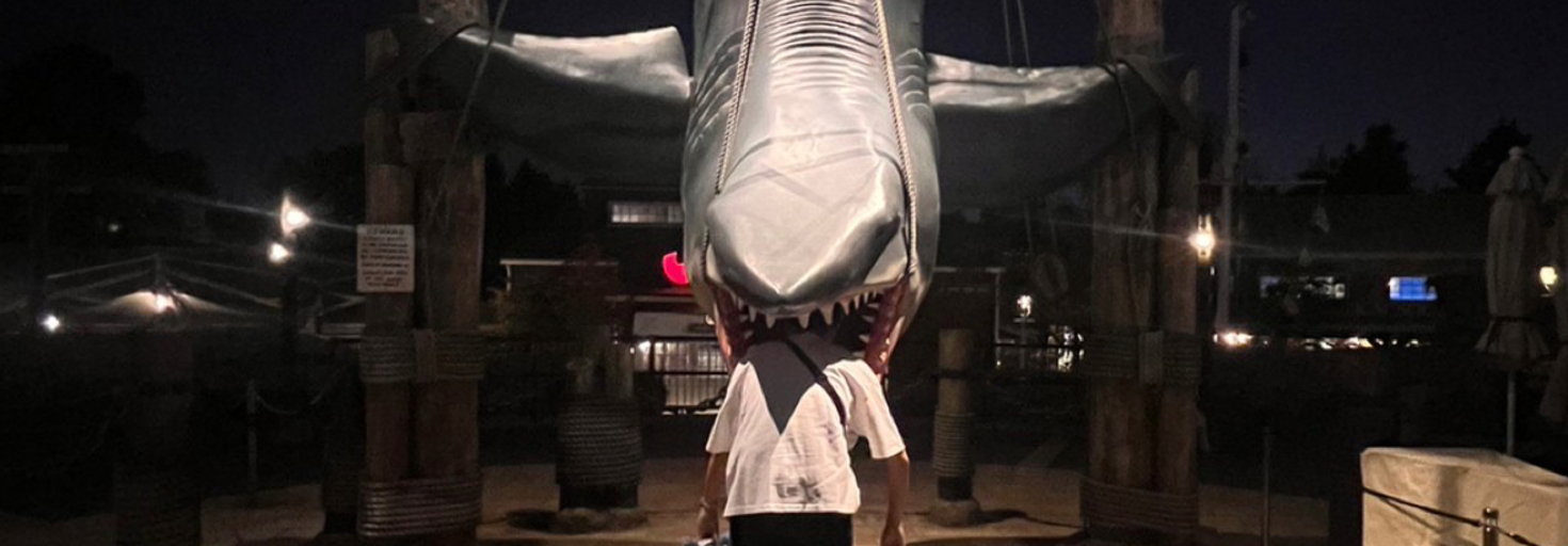 レビュアーのカバー画像