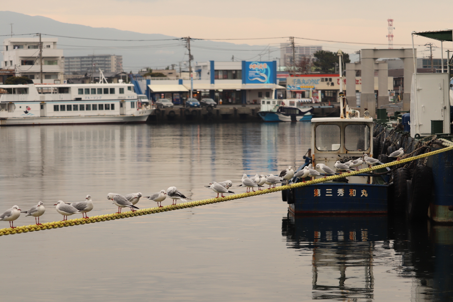 レビュアーのカバー画像