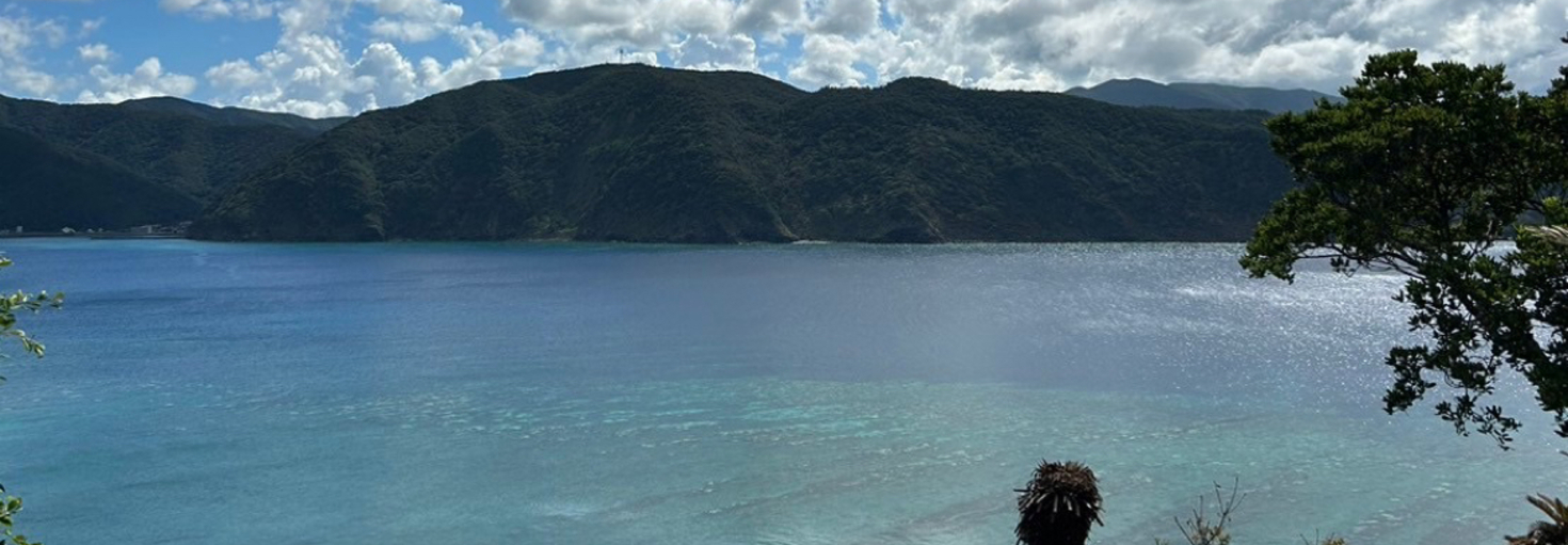 レビュアーのカバー画像