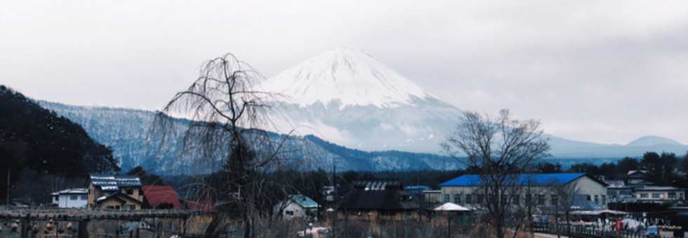 レビュアーのカバー画像