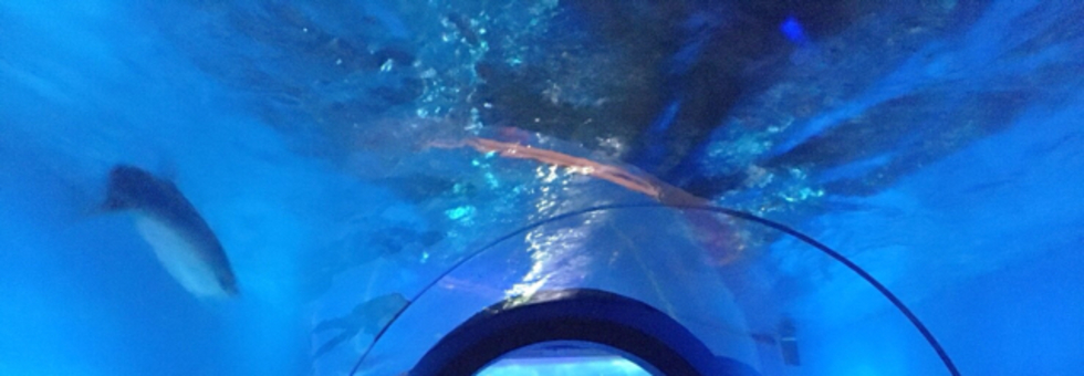 レビュアーのカバー画像