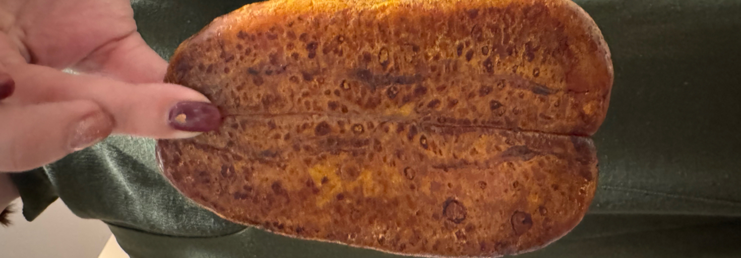 レビュアーのカバー画像