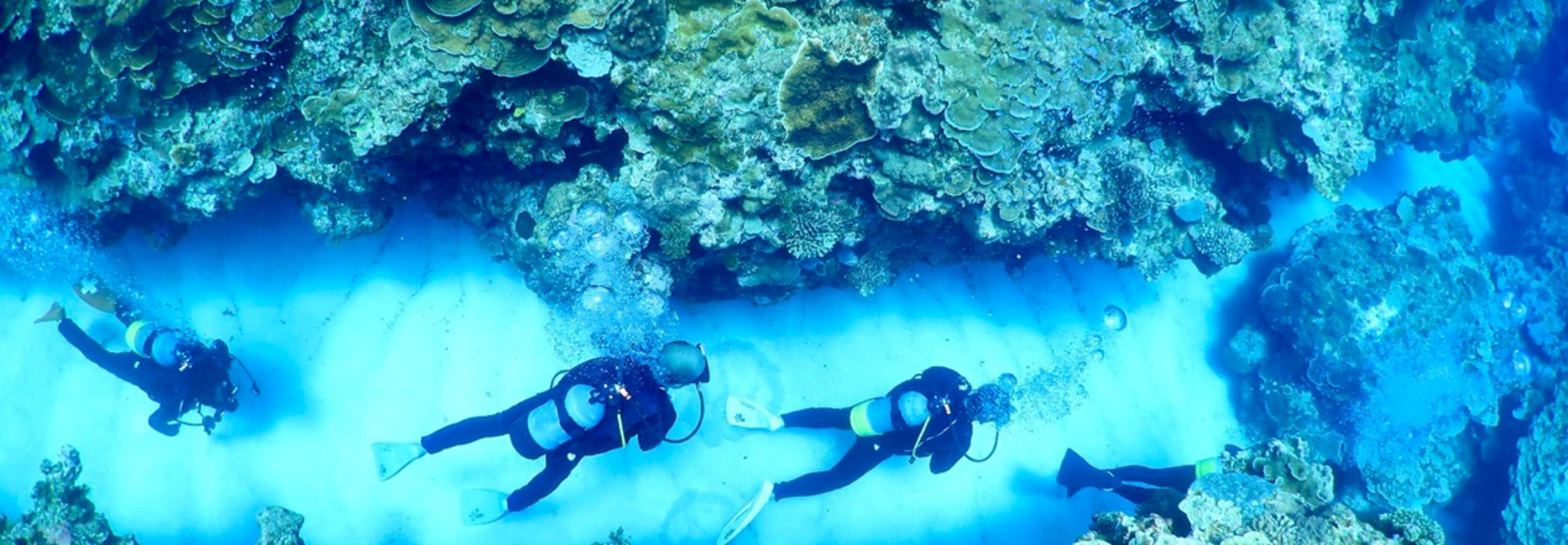 レビュアーのカバー画像