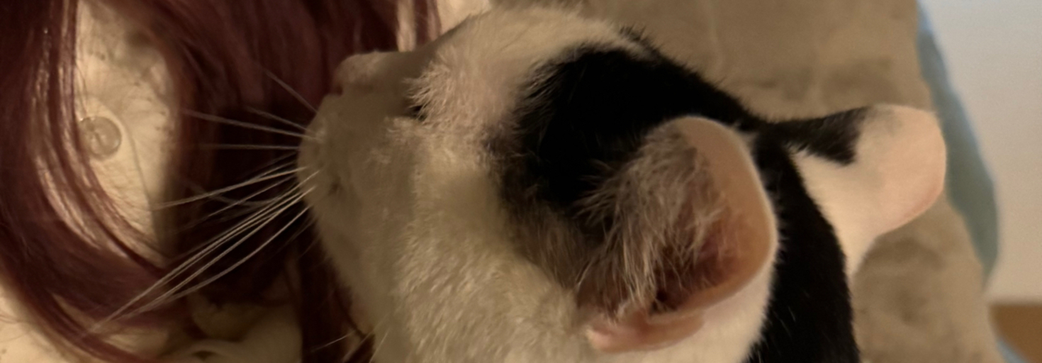 レビュアーのカバー画像